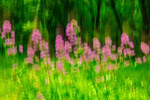 Valerian 6751