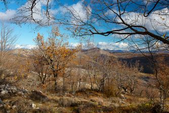 Col de Vence, Fra, Autumn 6885