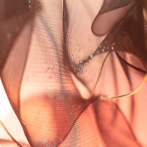 Butterfly Blush