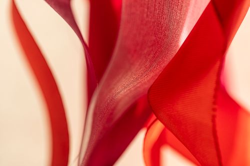 Vulcan Bloom