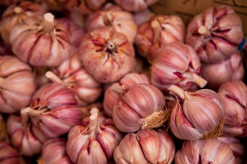 Garlic Campo di Fiori