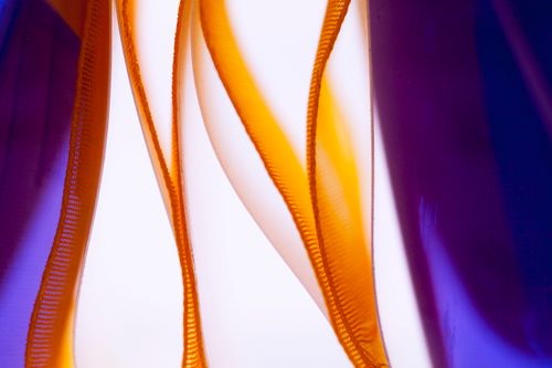 Tiges d'or