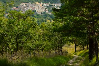 Coursegoules, France 6508