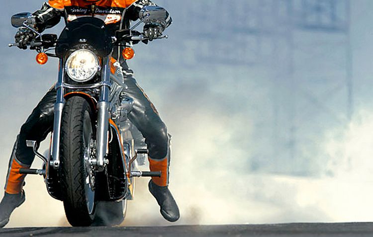 photographer: vincent dente