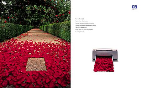 photographer: kelvin hudson