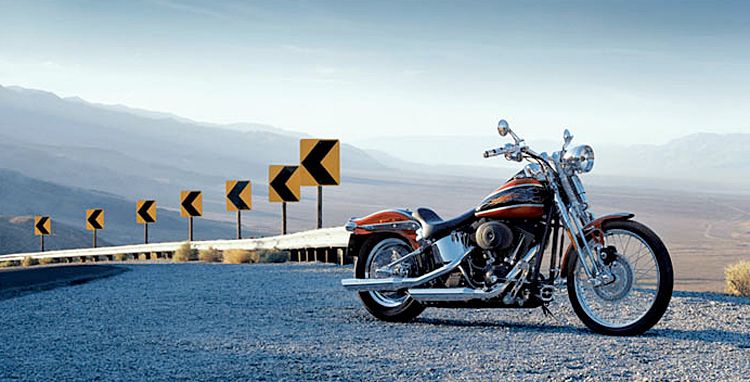 photographer: vincent dente