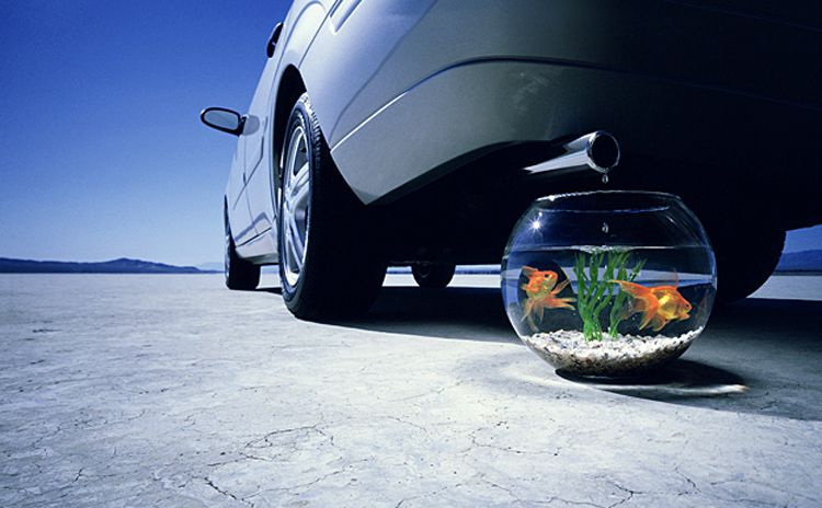 photographer: darran rees