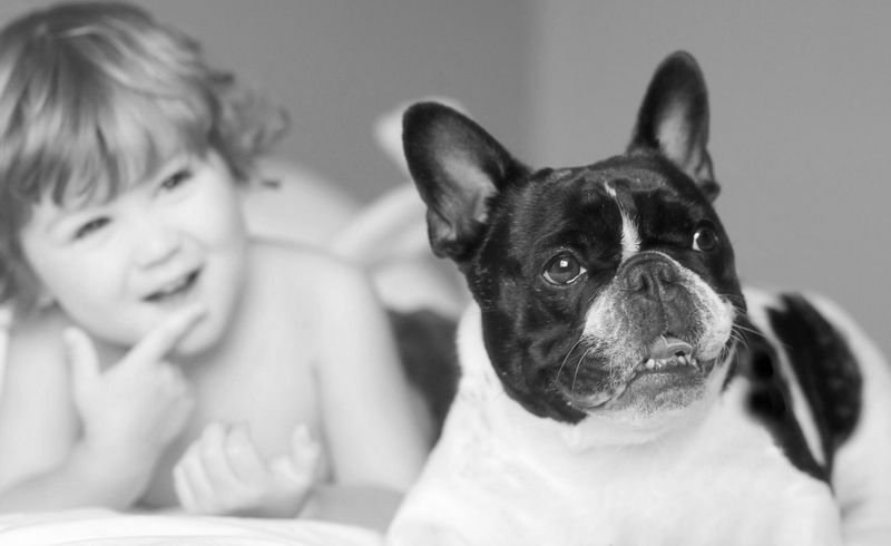 42_Blumenfeld_034.jpg