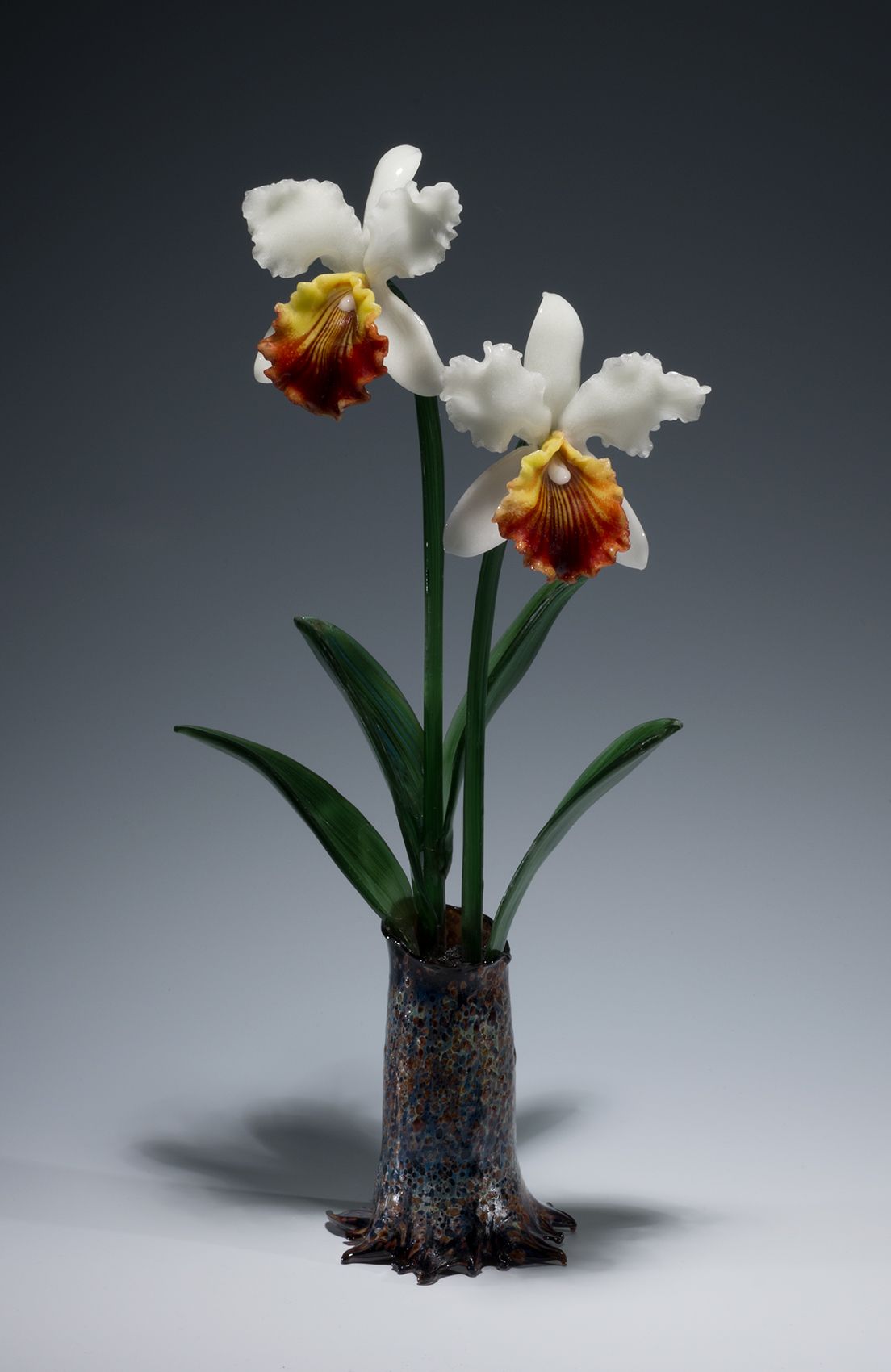 Glass Orchid by Margaret Neher Cattleya Dowiana
