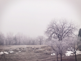 web-fog-westminster-Enlight506.jpg