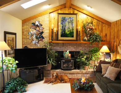 web-green-plexi-_SM_familyroom.jpg