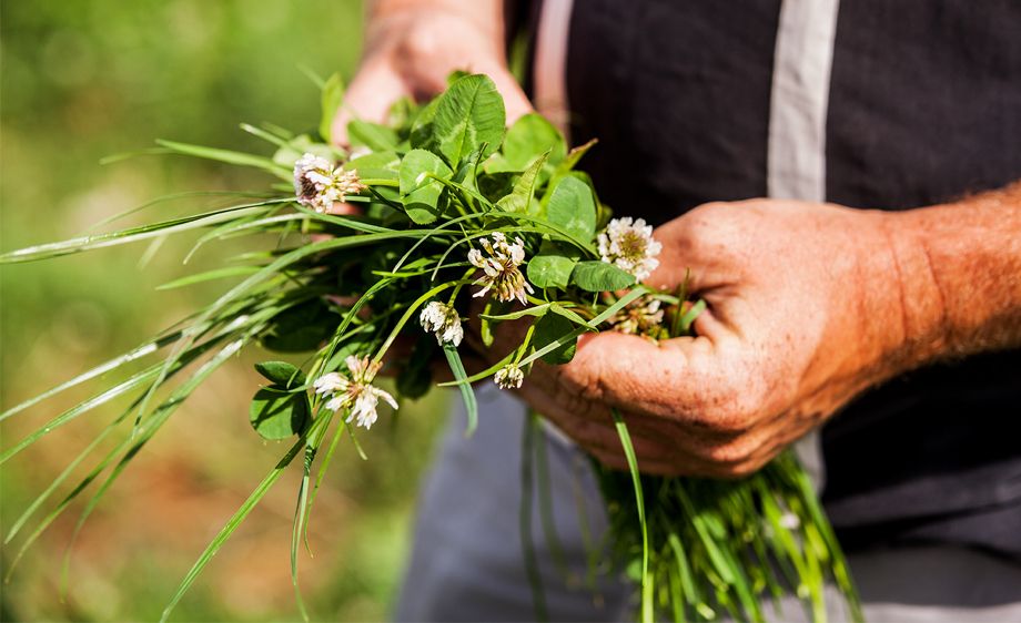 Niall Murphy - Emerald Dairies Carthage,Missouri