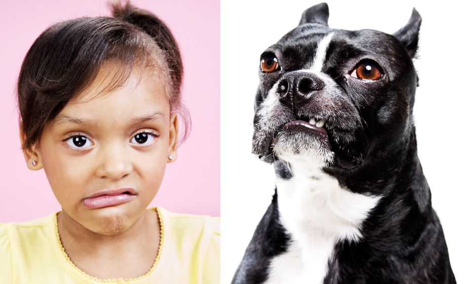 St.Louis Headshot photographer