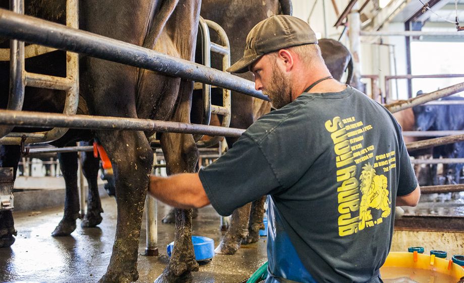 David Adams - Dairy farmer Focal Farms Nevada,Missouri