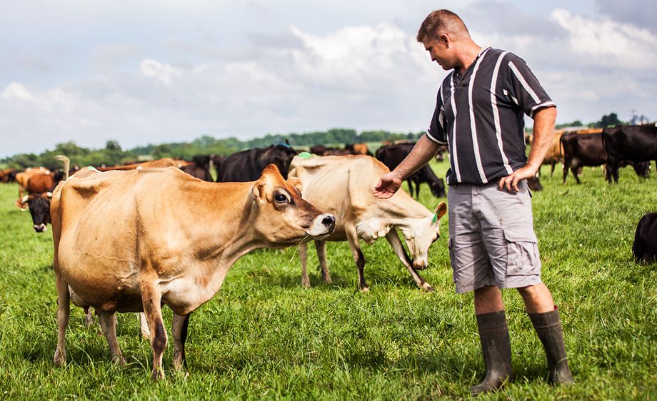 Niall Murphy - Emerald Dairies, Carthage,Missouri