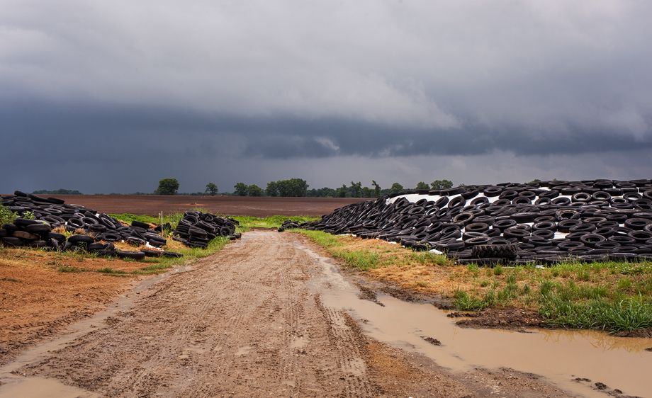 Covered Corn Focal Dairy farm Nevada,Missouri