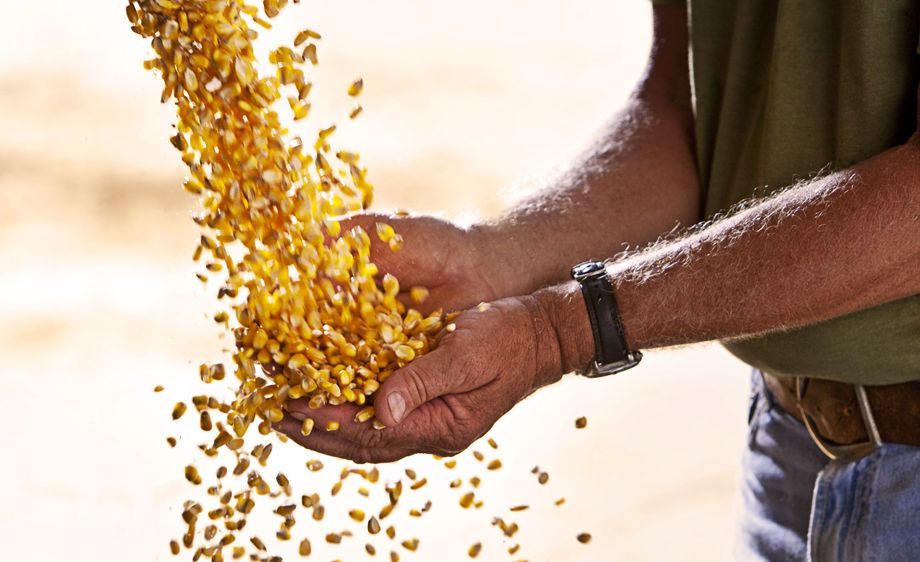 Agriculture Stock photography