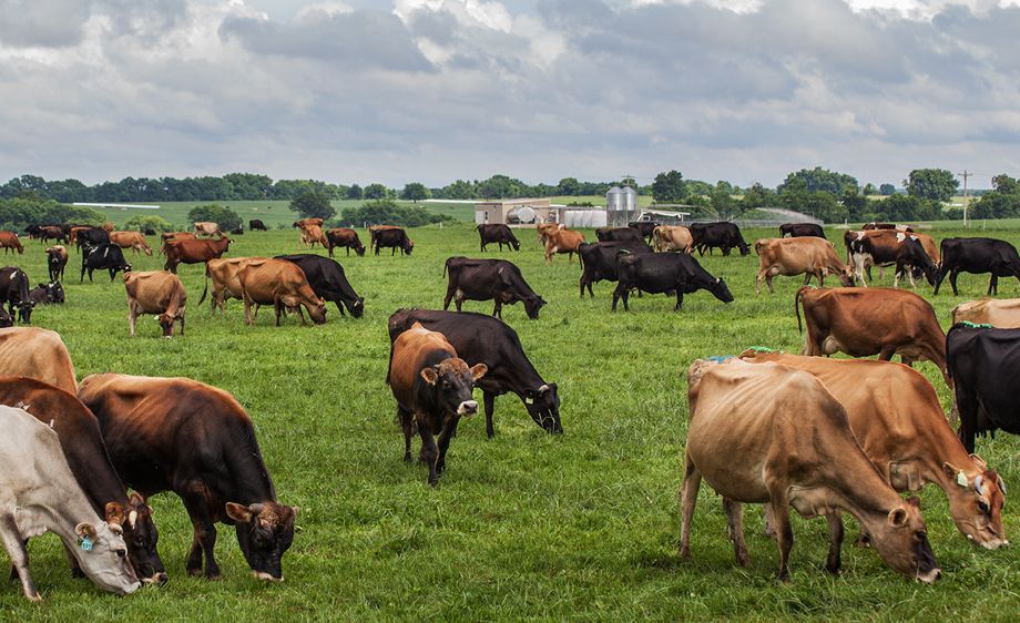 Enerald Dairies, Carthage,Missouri