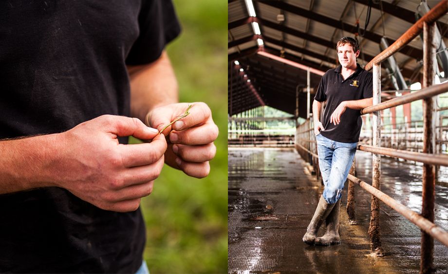 Aiden Cunningham - Focal Farms