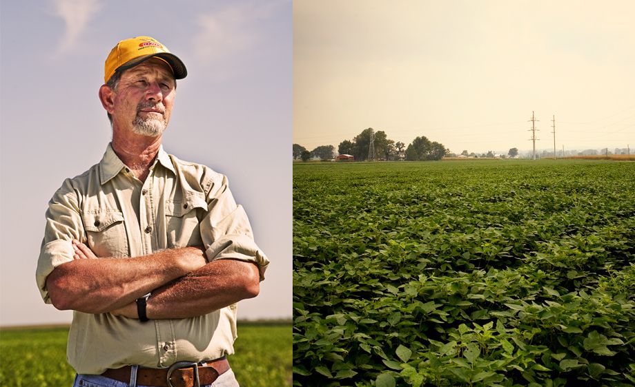 Agriculture stock photography