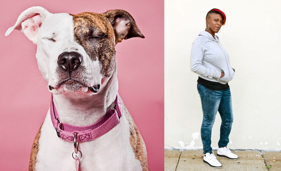 St.Louis Pet Photographer