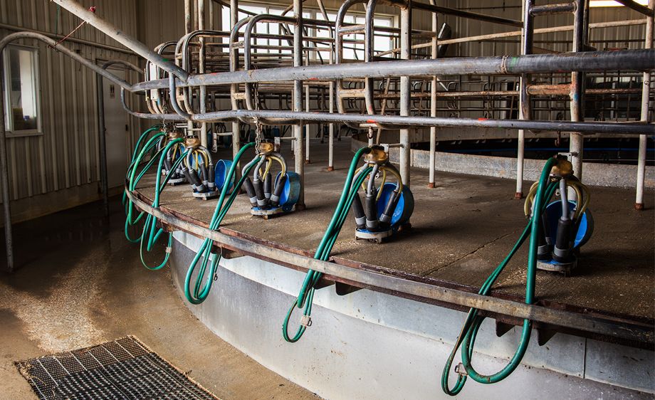 Focal Dairy Farm Nevada,Missouri