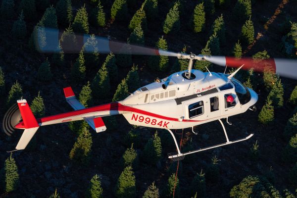 Harvesting Christmas trees by helicopter - Vertical Mag