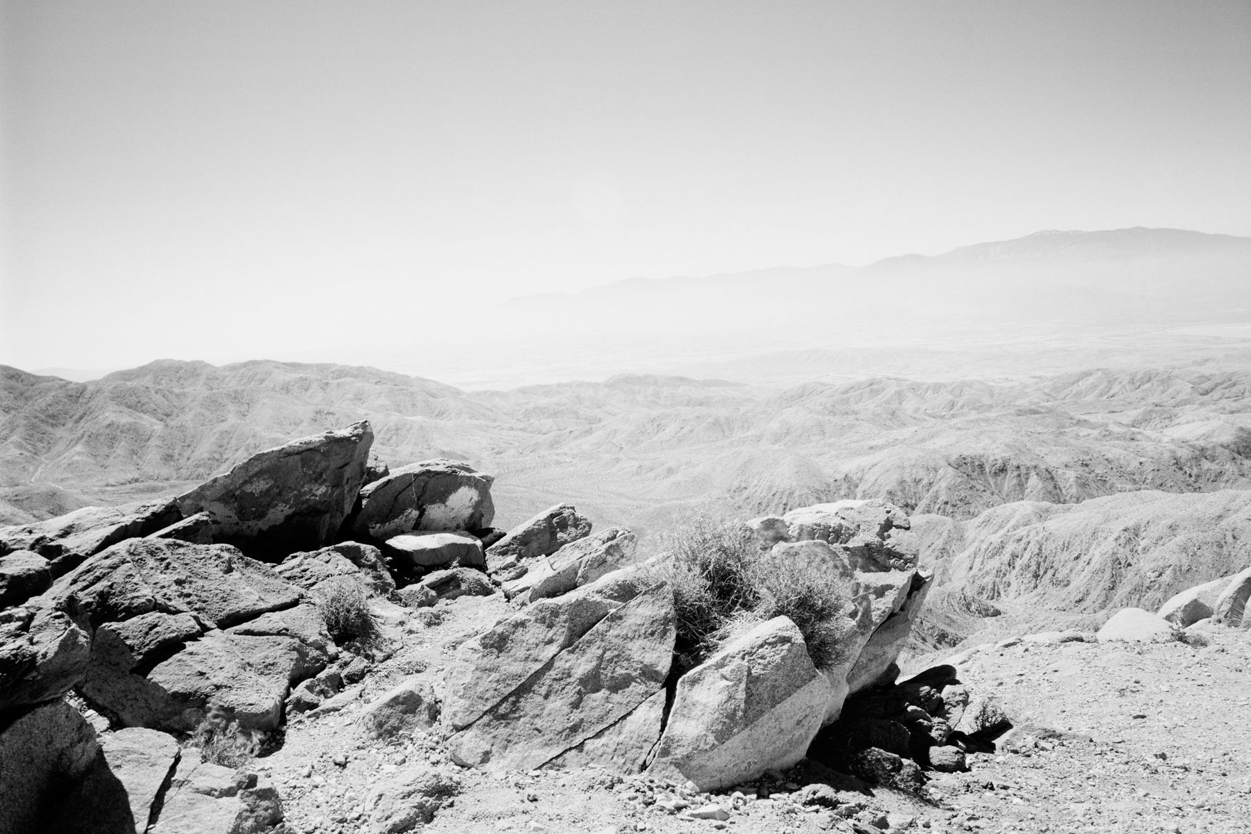 1landscape2_2.jpg