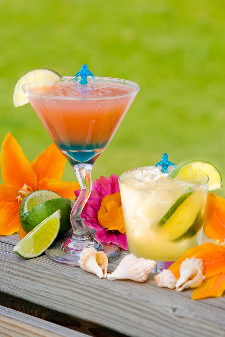Colorful Citrus Cocktails