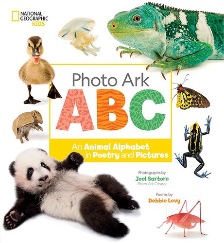 Photo ARK  a-b-c.jpg