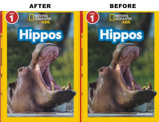 hippo2.jpg