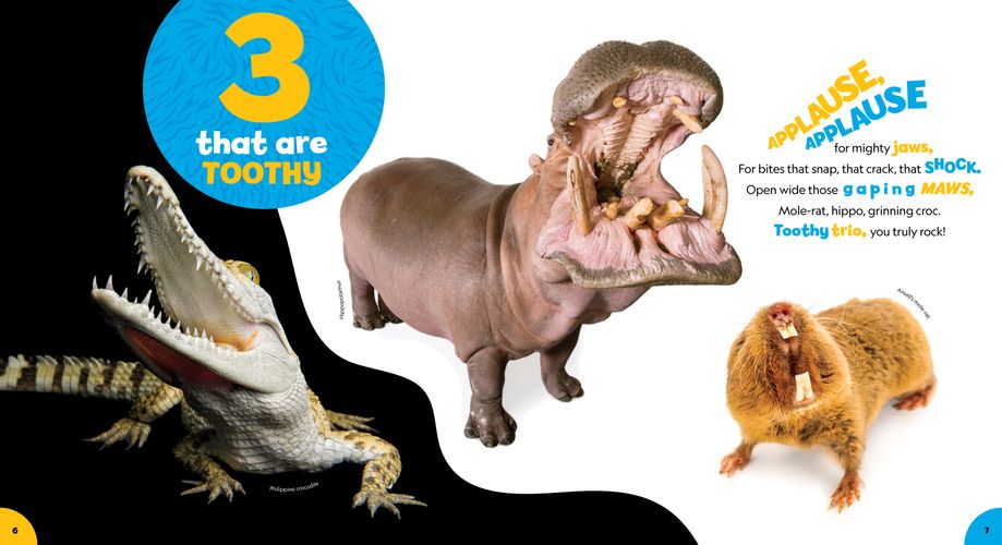 Photo Ark 1-2-3_Spread2.jpg