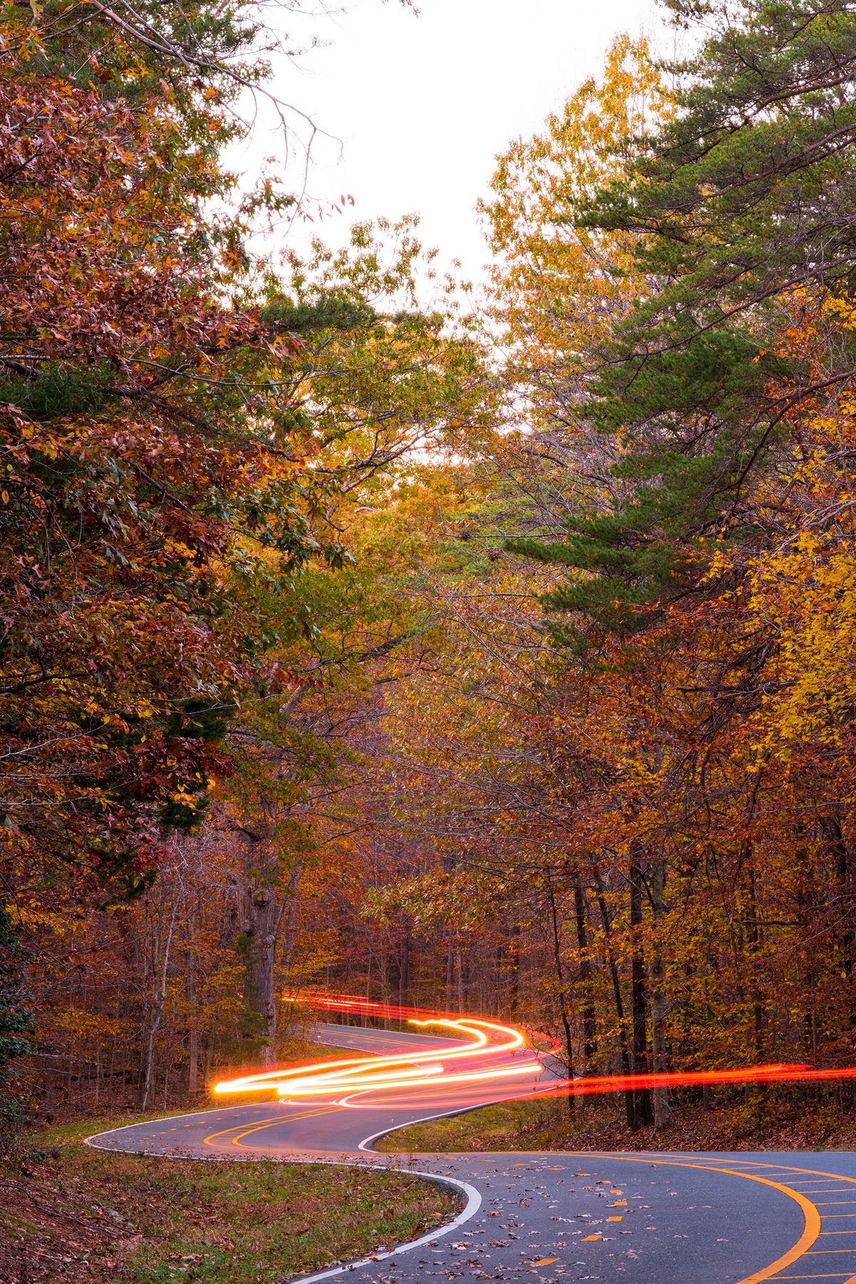 PWF autumn light trails.jpg