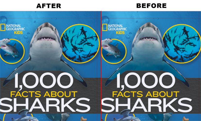 1000 Facts About Sharks.jpg