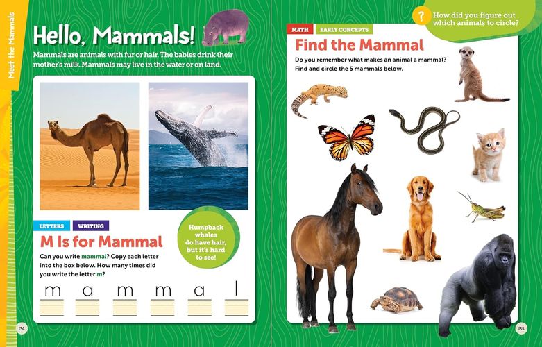 Pre K workbook2.jpg