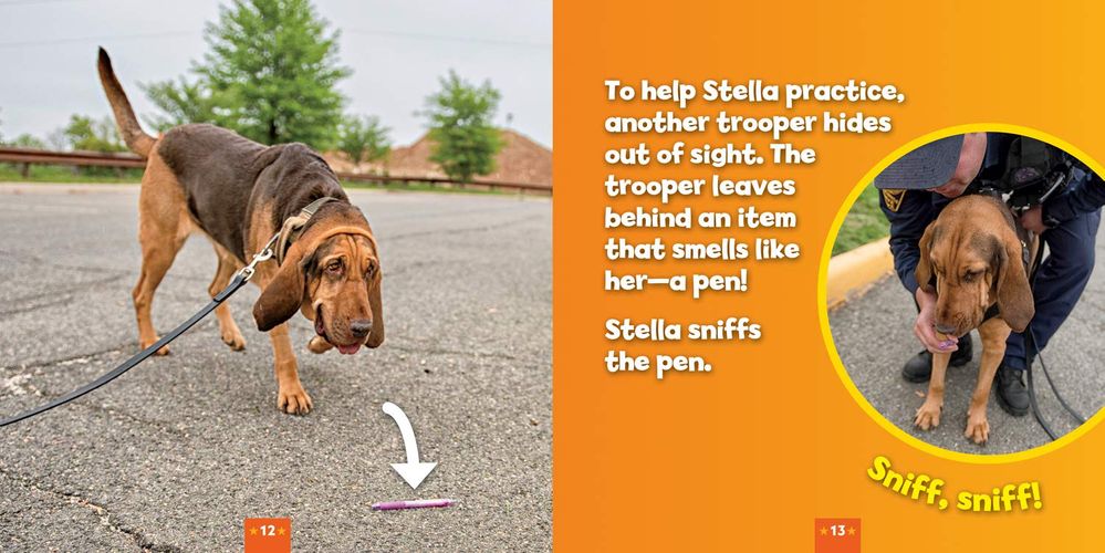 DoggyDefenders_Stella_1.jpg