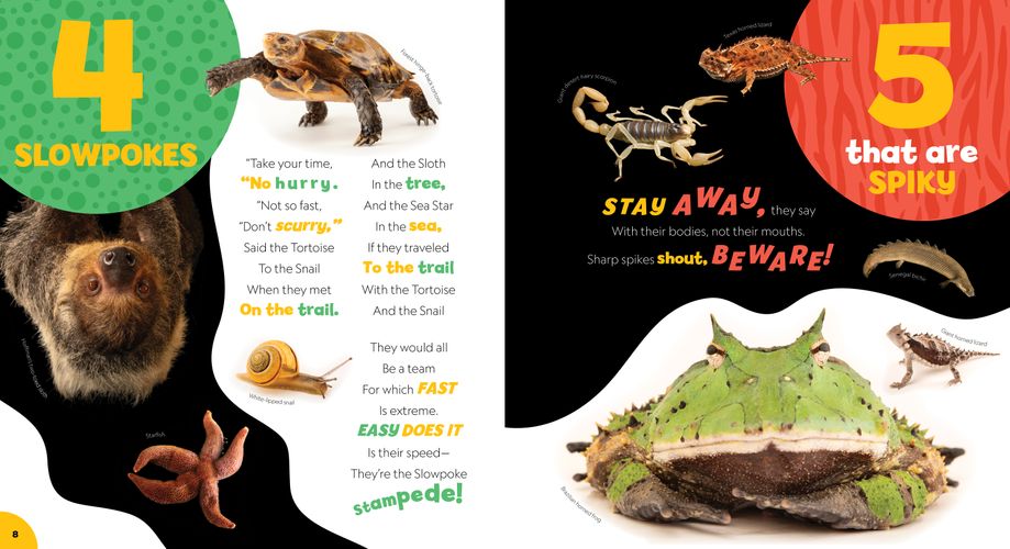 Photo Ark 1-2-3_Rough_Spread1.jpg