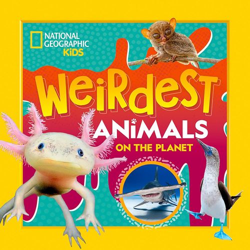 Weirdest Animals on the PLanet.jpg