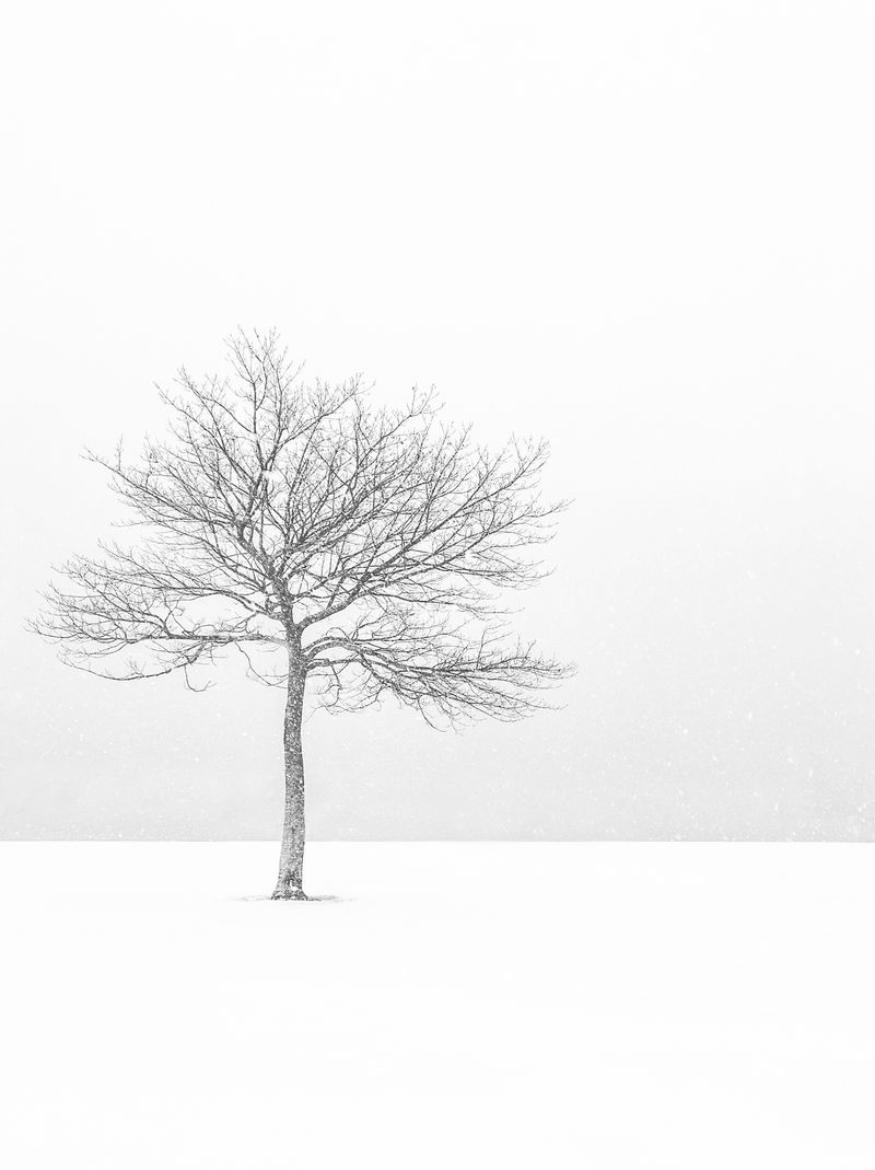 Landscapes - E. Michael Miller Photography