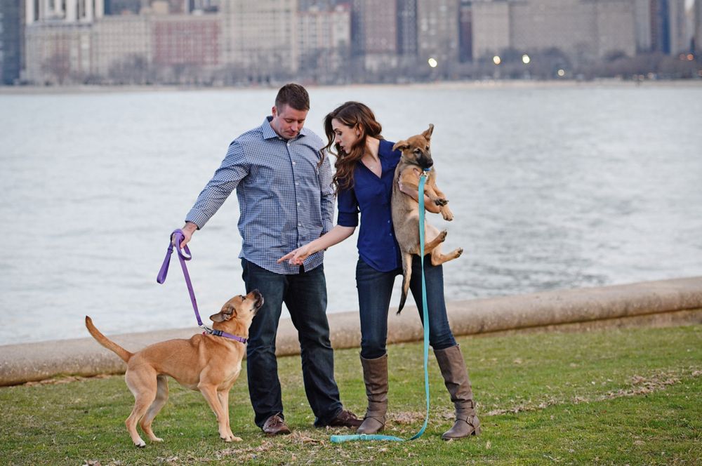 North avenue beach Chicago engagmnt 