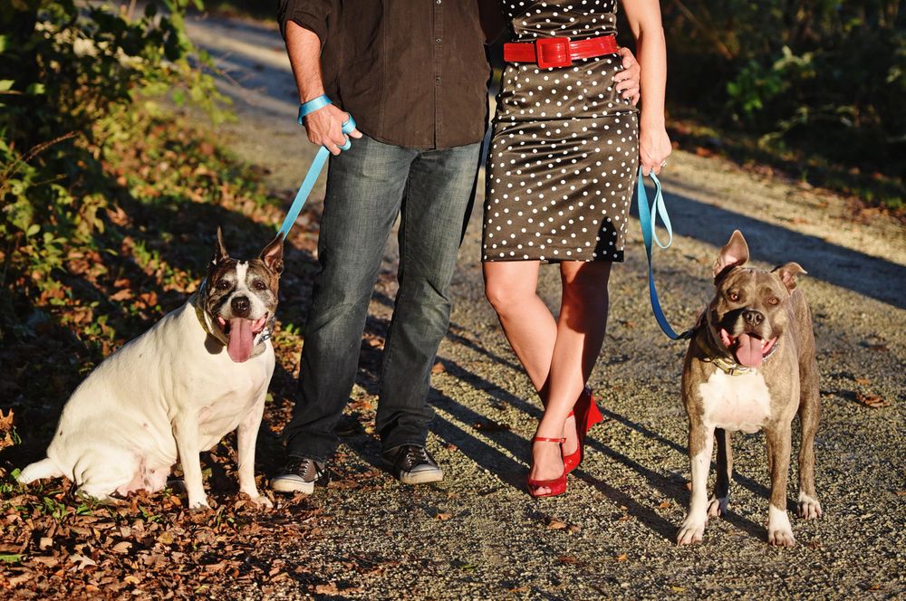 Engagement photos, Chicago photographer (21).jpg