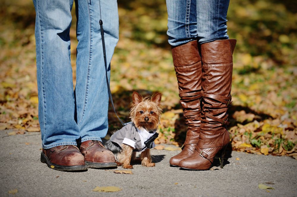 Engagment photos with dogs (1).jpg