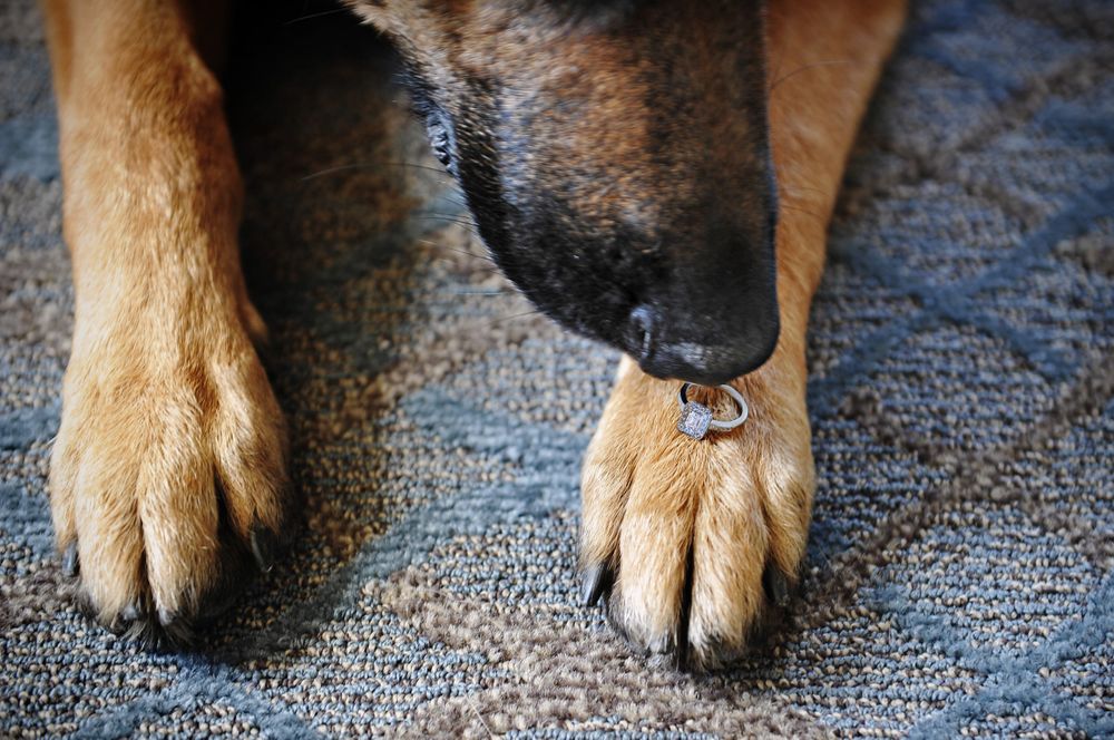 Fun and unique wedding photographer in Chicago Illinois (5).jpg