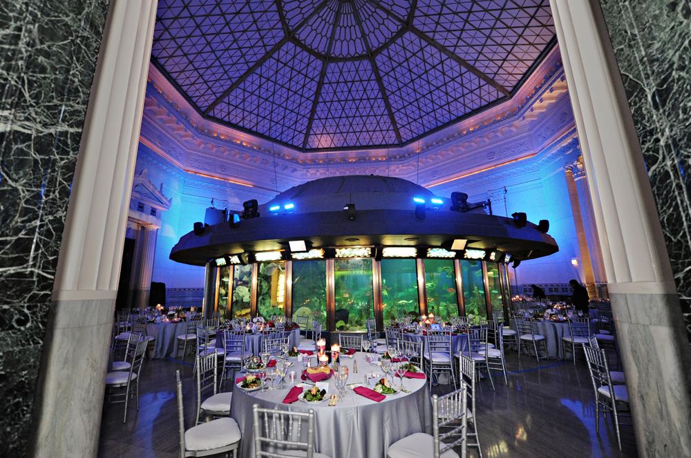 Chicago wedding photographer (27).jpg