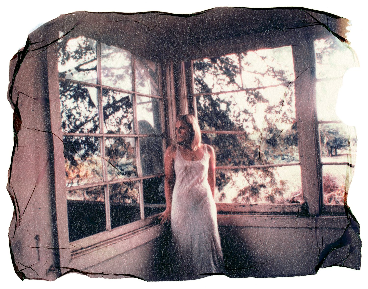 1finalnapawindowinside