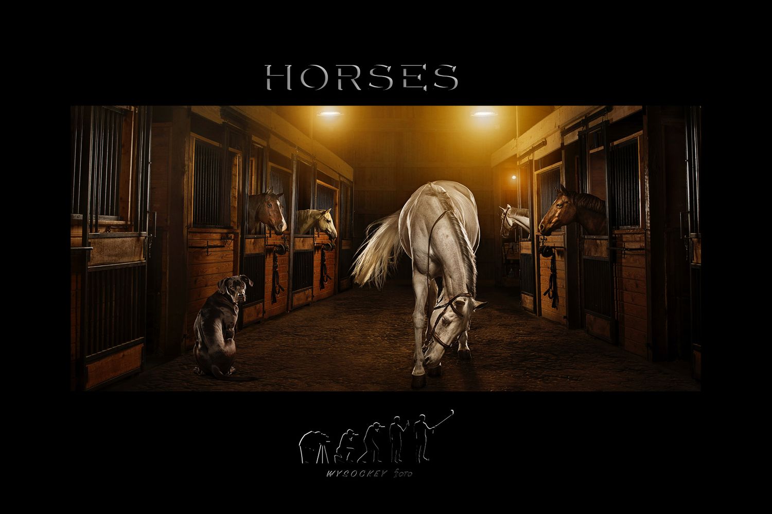horses intro copy.jpg
