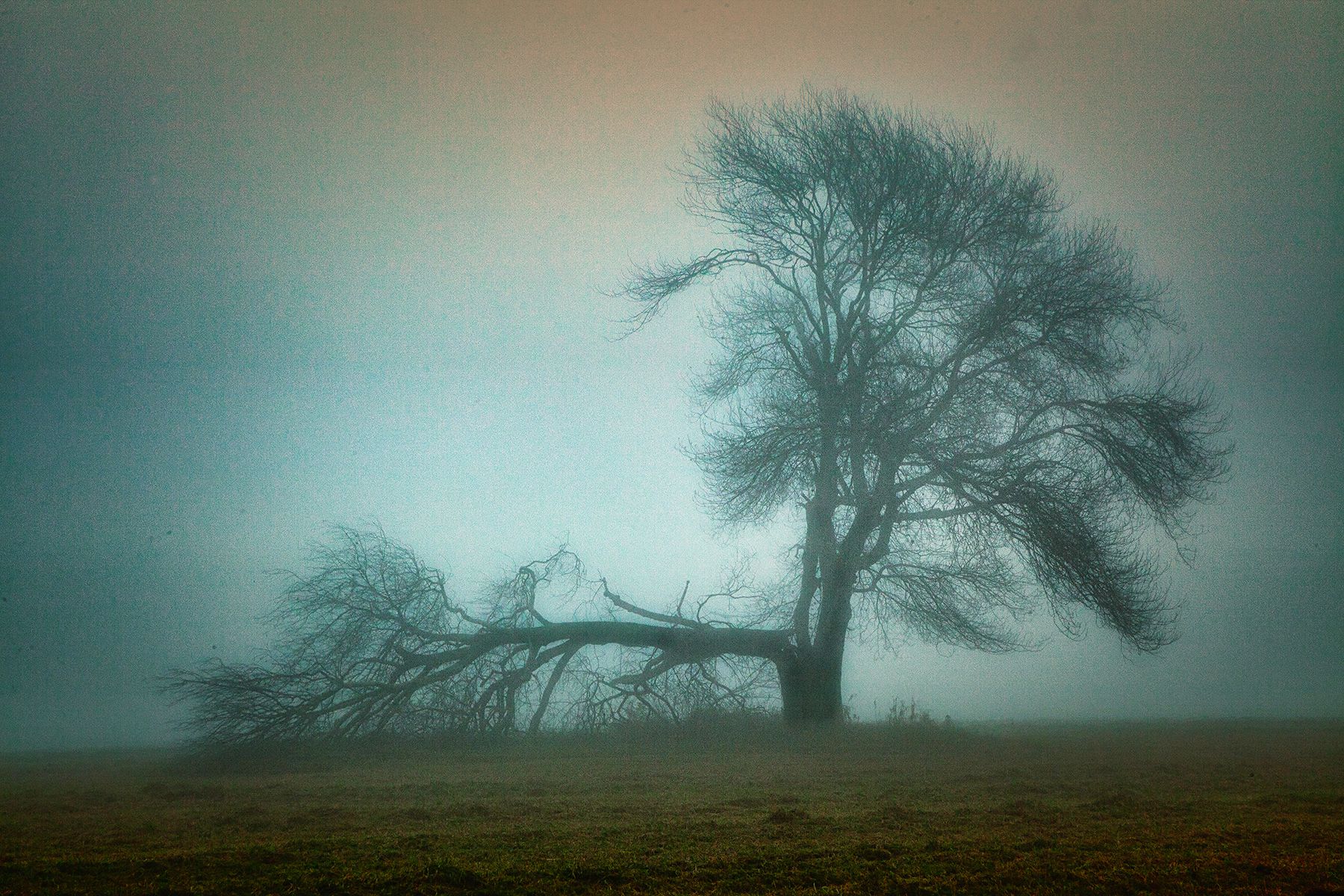 _MG_2241_edit copy_edit copy.jpg