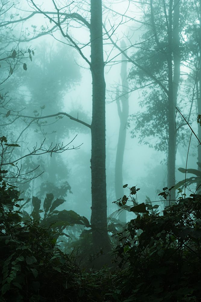 L1100417 copy-2 copy.jpg