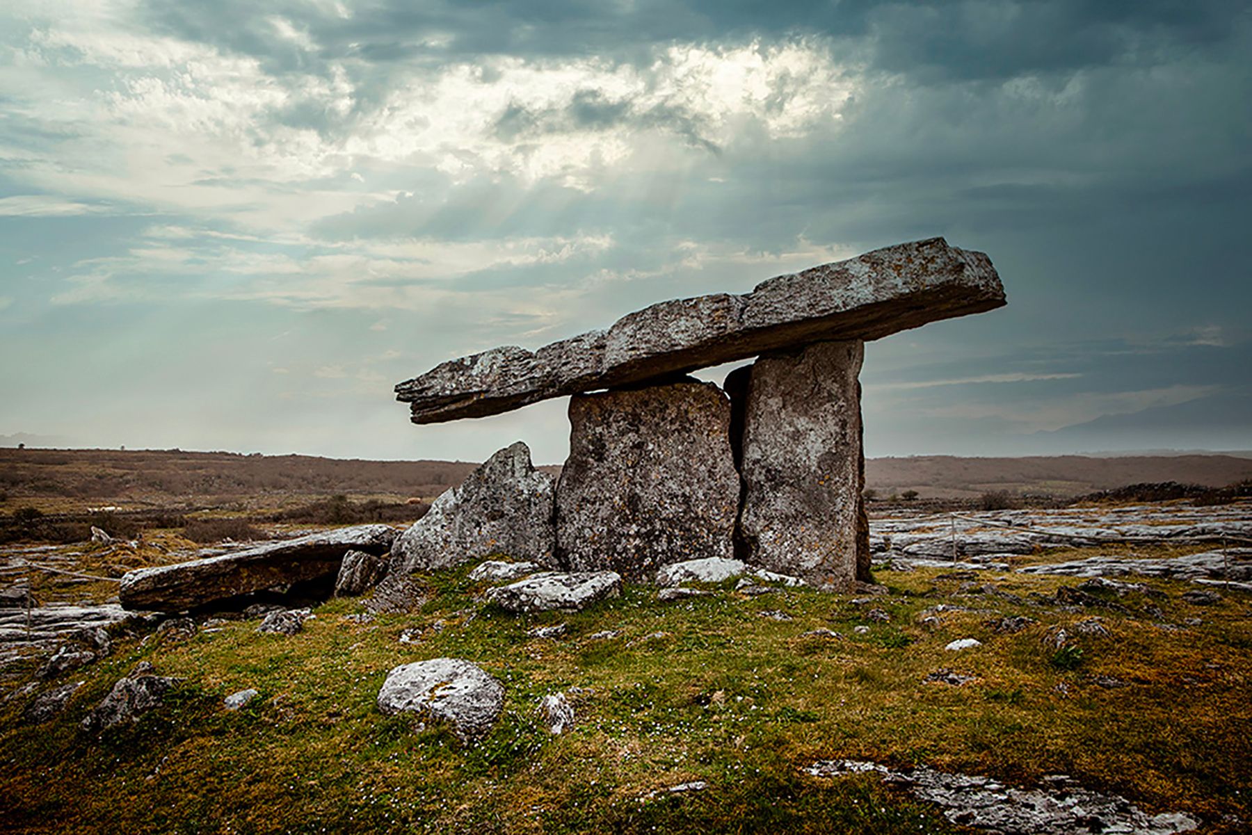 untitled-1868-1 copy 3.jpg