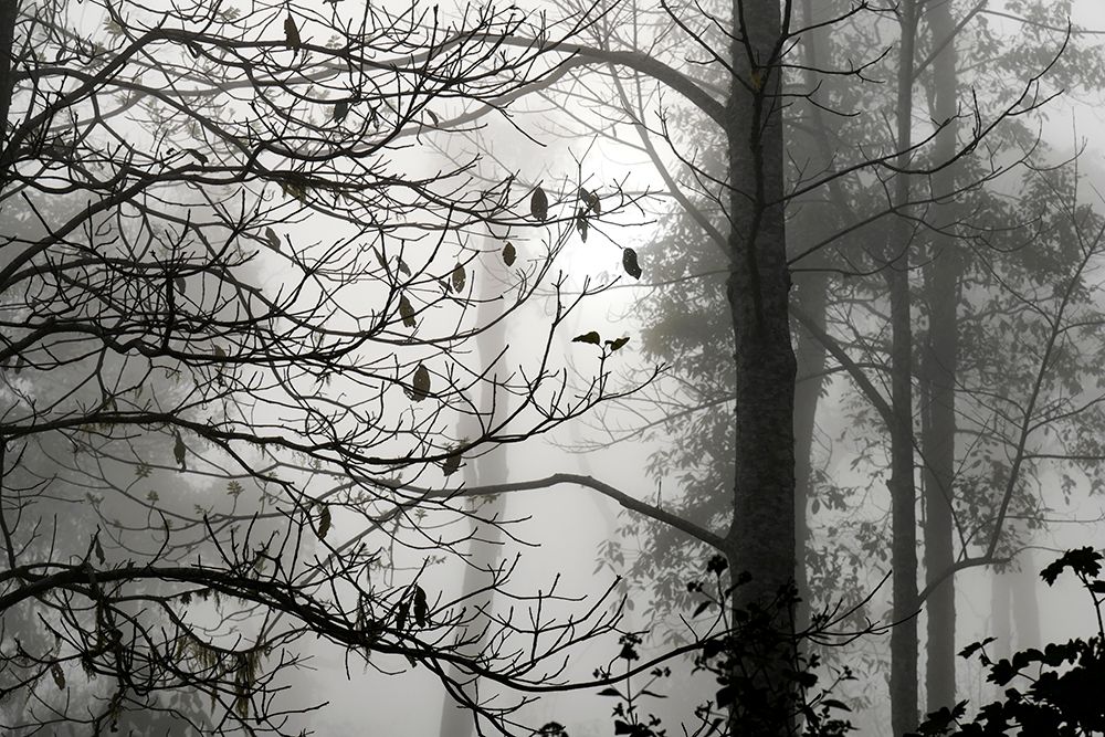 L1100415 copy 2.jpg